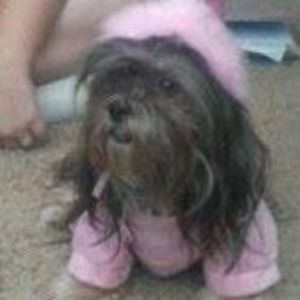 Meet your Posher, Kate